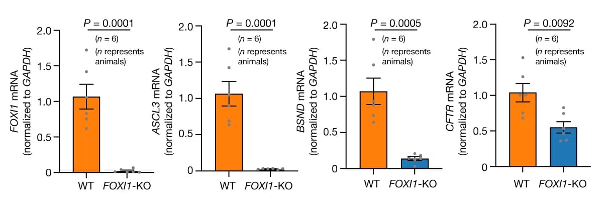 Open access visualization of Bar Plot, Error Bars, Scatter Plot, RT-qPCR, Ionocyte-Enriched Transcripts