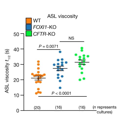 Open access visualization of Scatter Plot, Error Bars, ASL Viscosity, ALI Cultures