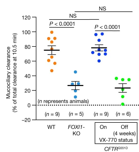Open access visualization of Scatter Plot, Error Bars, Tracheal Clearance, Radioactive Tracer, Ferrets