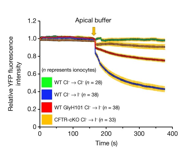 Open access visualization of Line Plot, Error Bars, Single-Cell, Ionocyte, YFP Fluorescence Intensity