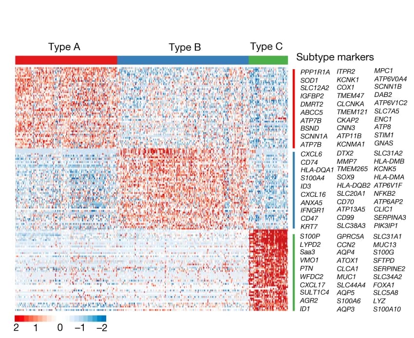 Open access visualization of Heatmap, Clustered, Ionocyte Gene Expression Signatures, Relative Expression, Z-score