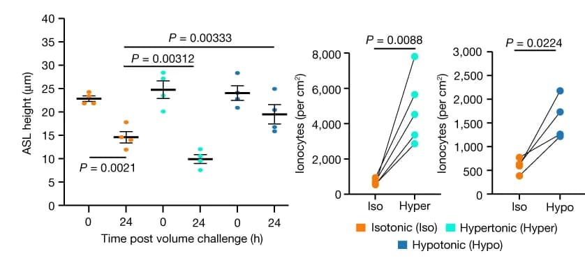 Open access visualization of Scatter Plot, Error Bars, Line Plot, Hyperosmotic Conditions, Hypoosmotic Conditions