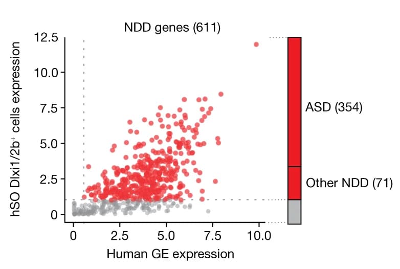 Open access visualization of Scatter Plot, Stacked Bar Plot, CRISPR Screens, NDD Genes, hSO Dlxi1/2b::eGFP + Cells