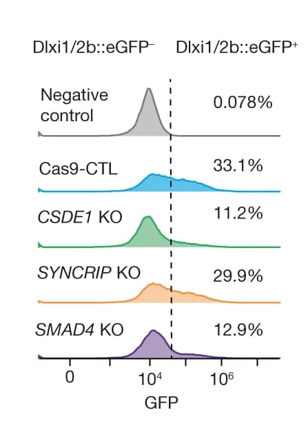 Open access visualization of Density Plot, Ridge Plot, Flow Cytometry Analysis, hSO, GFP Positive Cells