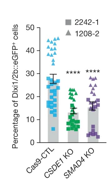 Open access visualization of Error Bars, Scatter Plot, GFP Positive Cells, hSO, hiPS cell lines