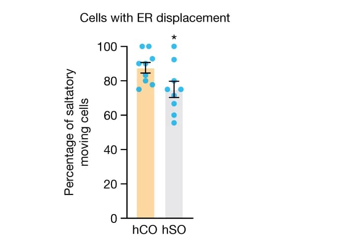 Open access visualization of Bar Plot, Error Bars, Scatter Plot, Saltatory Moving Cells, hCO