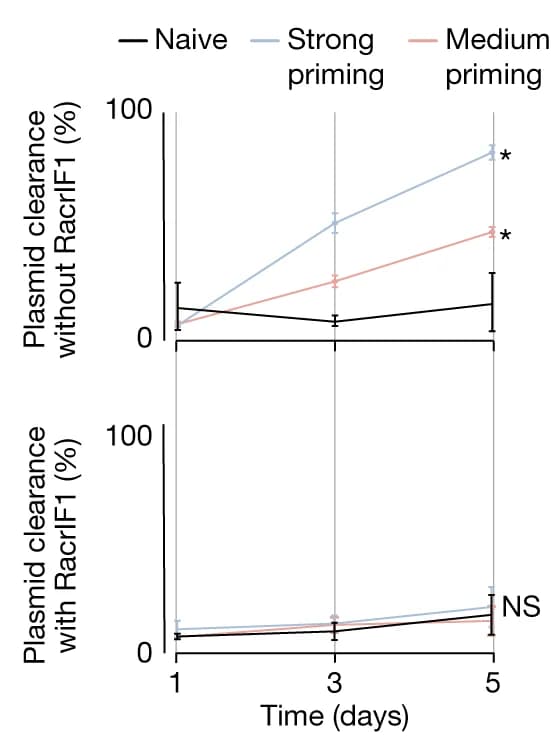 Open access visualization of Line Plot, Error Bars, Cells, Type I-F, Plasmids