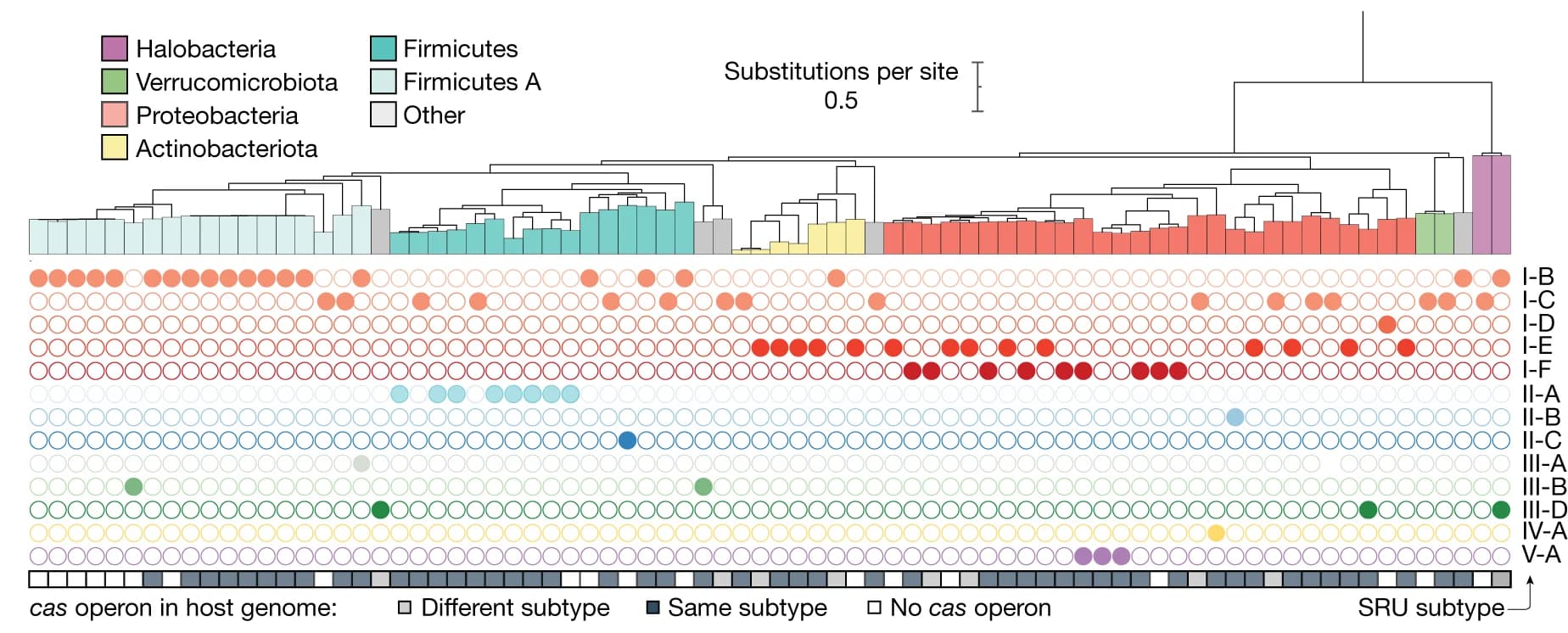 Open access visualization of Scatter Plot, Clustered, Phylogenetic Tree, Bacterial Hosts, SRU-carrying Proviruses