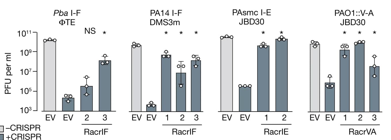 Open access visualization of Bar Plot, Error Bars, PFU per ml, Phages, CRISPR-Cas systems
