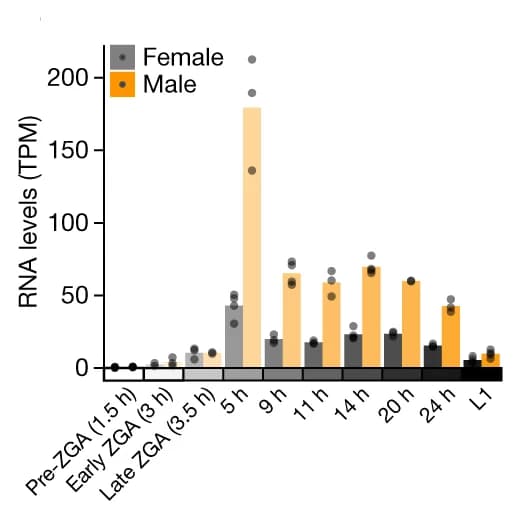 Open access visualization of Bar Plot, Scatter Plot, SOA RNA Levels, RNA-seq, Transcripts per million
