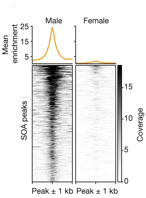 Open access visualization of Heatmap, Line Plot, SOA CUT&Tag, Metaplot