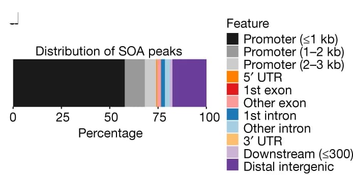 Open access visualization of Stacked Bar Plot, Bar Plot, SOA Peak Annotations, Genomic Features, UTR
