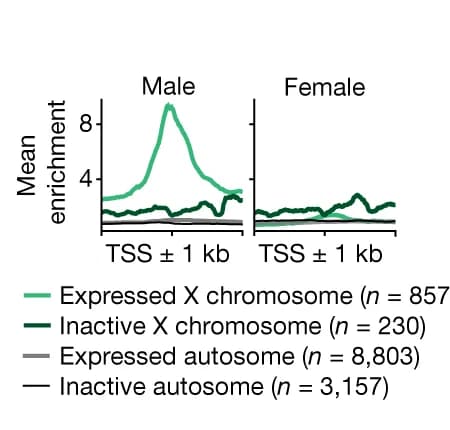 Open access visualization of Line Plot, Metaplot, SOA CUT&Tag, TSS, RNA-seq