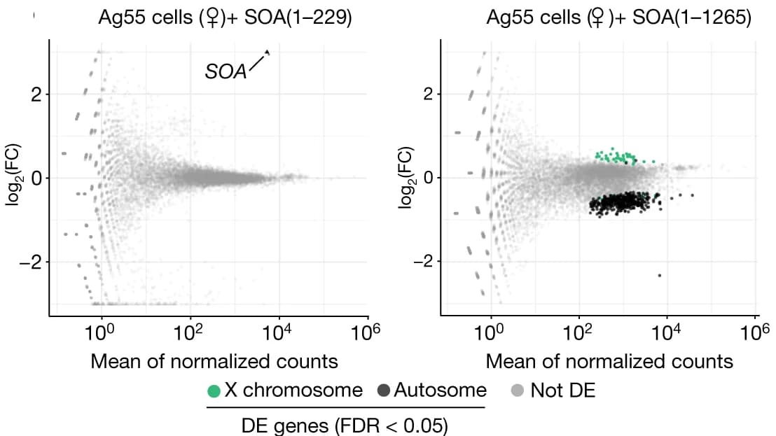 Open access visualization of Scatter Plot, Volcano Plot, MA Plots, RNA-seq, Biological Replicates