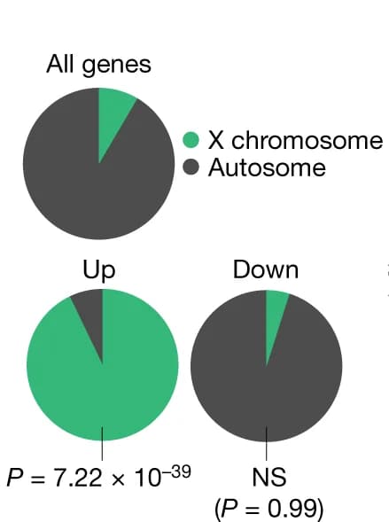 Open access visualization of Pie Chart, Pie Charts, Differentially Expressed Genes, A. gambiae Genes, P Value