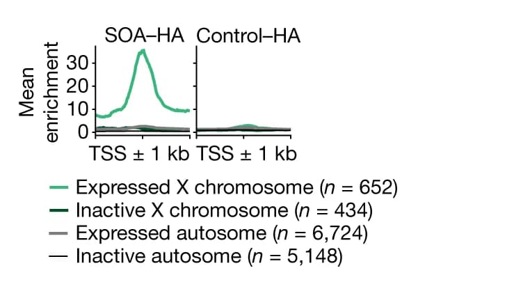 Open access visualization of Line Plot, Metaplot, CUT&Tag Coverage, TSS, Genes