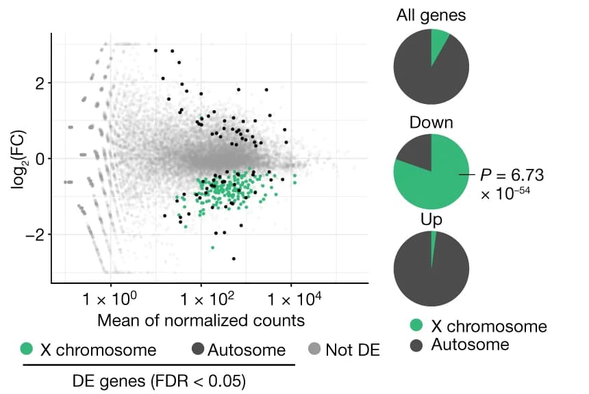 Open access visualization of Scatter Plot, Pie Chart, MA Plots, RNA-seq, Wild-type