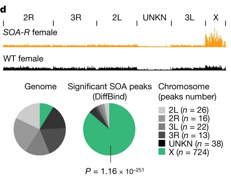 Open access visualization of Line Plot, Pie Chart, CUT&Tag peaks, A. gambiae genome, Fisher’s test