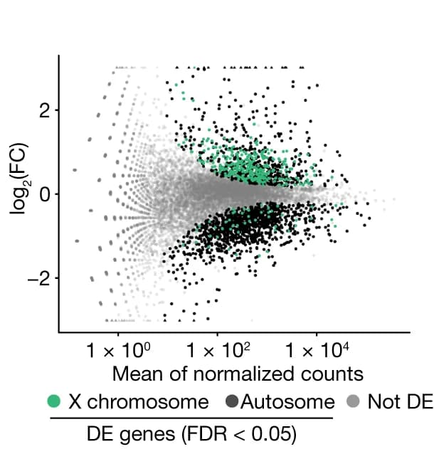 Open access visualization of Scatter Plot, Volcano Plot, MA plot, RNA-seq, Normalized read counts