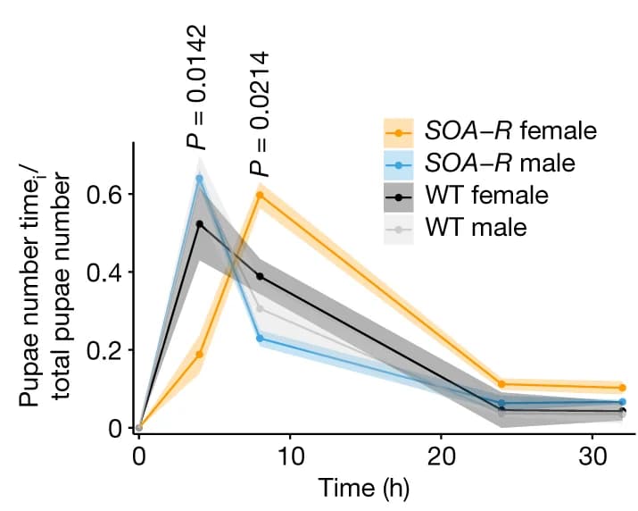 Open access visualization of Line Plot, Error Bars, Developmental progression, SOA-R, Pupa emergence