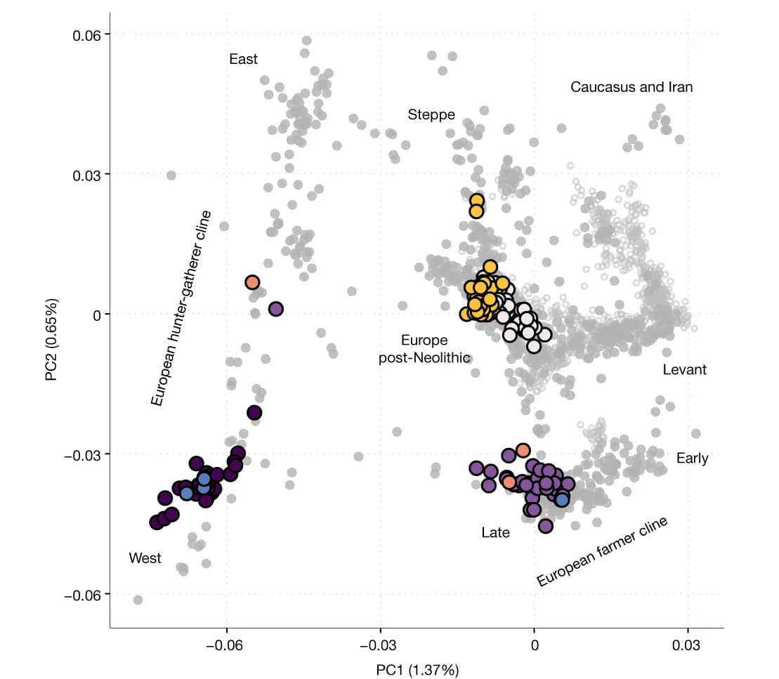 Open access visualization of Scatter Plot, PCA, Ancient Danish Individuals, Mesolithic, Viking Age