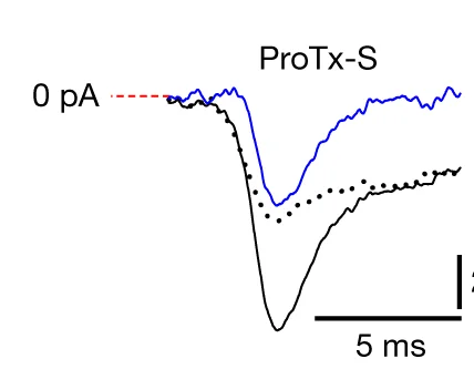 Open access visualization of Line Plot, Inhibition, Fast-Inactivating Sodium Current, ProTx II, Sodium Current Traces