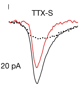Open access visualization of Line Plot, Inhibition, Fast-Inactivating Sodium Current, TTX, Sodium Currents