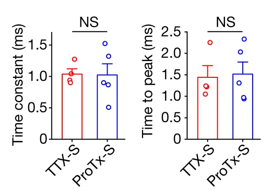 Open access visualization of Bar Plot, Error Bars, Scatter Plot, Inactivation Time Constants, TTX-S Current