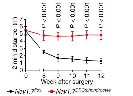 Open access visualization of Line Plot, Error Bars, Travel Distance, DMM-operated Mice, Surgery