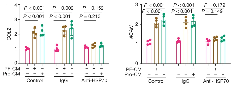 Open access visualization of Bar Plot, Error Bars, Scatter Plot, COL2, ACAN