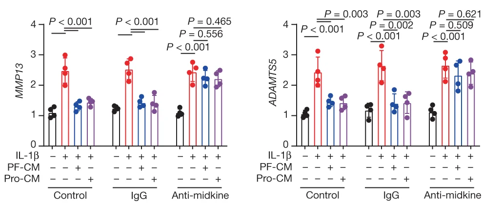 Open access visualization of Bar Plot, Error Bars, MMP13, ADAMTS5, mRNA
