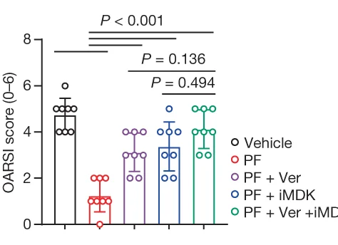 Open access visualization of Bar Plot, Error Bars, Scatter Plot, OARSI Score, Images