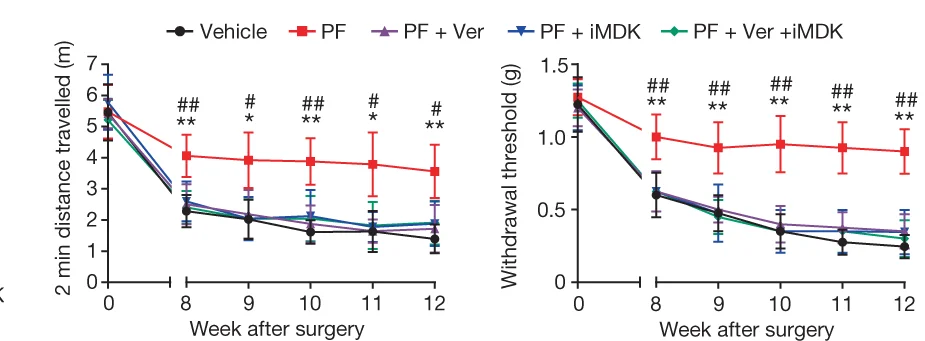 Open access visualization of Line Plot, Error Bars, Travel Distance, Von Frey Testing, DMM Surgery