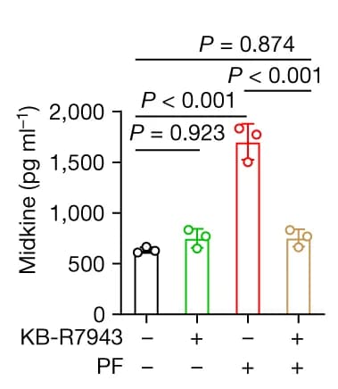 Open access visualization of Bar Plot, Error Bars, HSP70, Midkine, Conditioned Medium