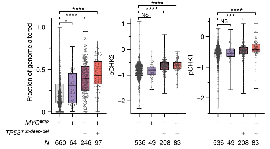 Open access visualization of Box Plot, Scatter Plot, Violin Plot, Genome Alteration, RPPA Signals