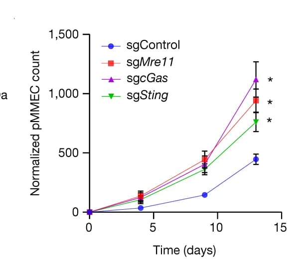 Open access visualization of Line Plot, Error Bars, pMMEC Counts, Time, Normalized Data