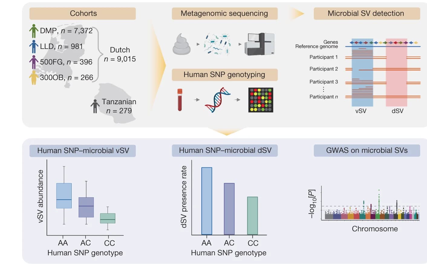 Open access visualization of Workflow, Box Plot, Bar Plot, Scatter Plot, GWAS