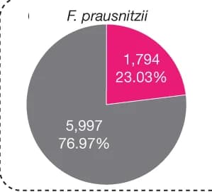 Open access visualization of Pie Chart, Strains, GalNAc Pathway, F. prausnitzii