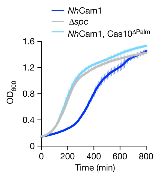 Open access visualization of Line Plot, Error Bars, Staphylococci, pTarget, pCRISPR Variants