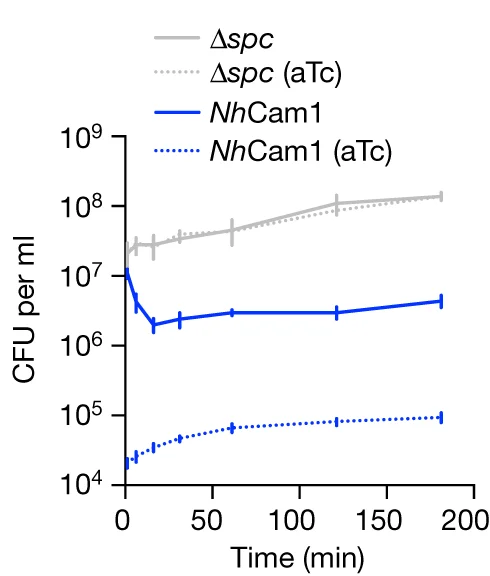 Open access visualization of Line Plot, Error Bars, Colony Forming Units, Staphylococcal Cultures, pCRISPR Variants