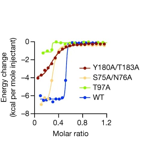 Open access visualization of Line Plot, ITC Plots, Binding Affinity, cA 4, CARF Domain