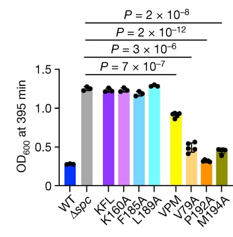 Open access visualization of Bar Plot, Scatter Plot, Error Bars, Alanine Substitutions, Residues