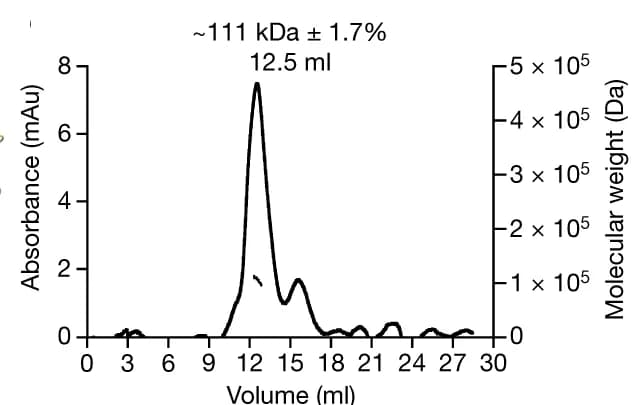 Open access visualization of Line Plot, SEC-MALS, Molecular Weight, Nh Cam1, DDM Micelles