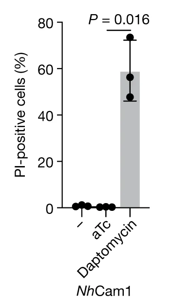 Open access visualization of Bar Plot, Error Bars, Scatter Plot, Propidium Iodide Fluorescence, aTc