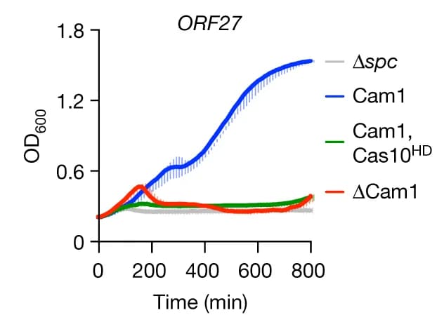 Open access visualization of Line Plot, Error Bars, pCRISPR constructs, ORF27 transcript, Staphylococci