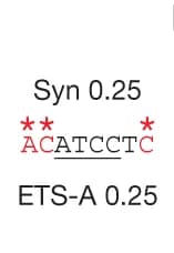 Open access visualization of Illustration, Syn 0.25 ETS-A Site, Shh, Ptch1, Limb Bud