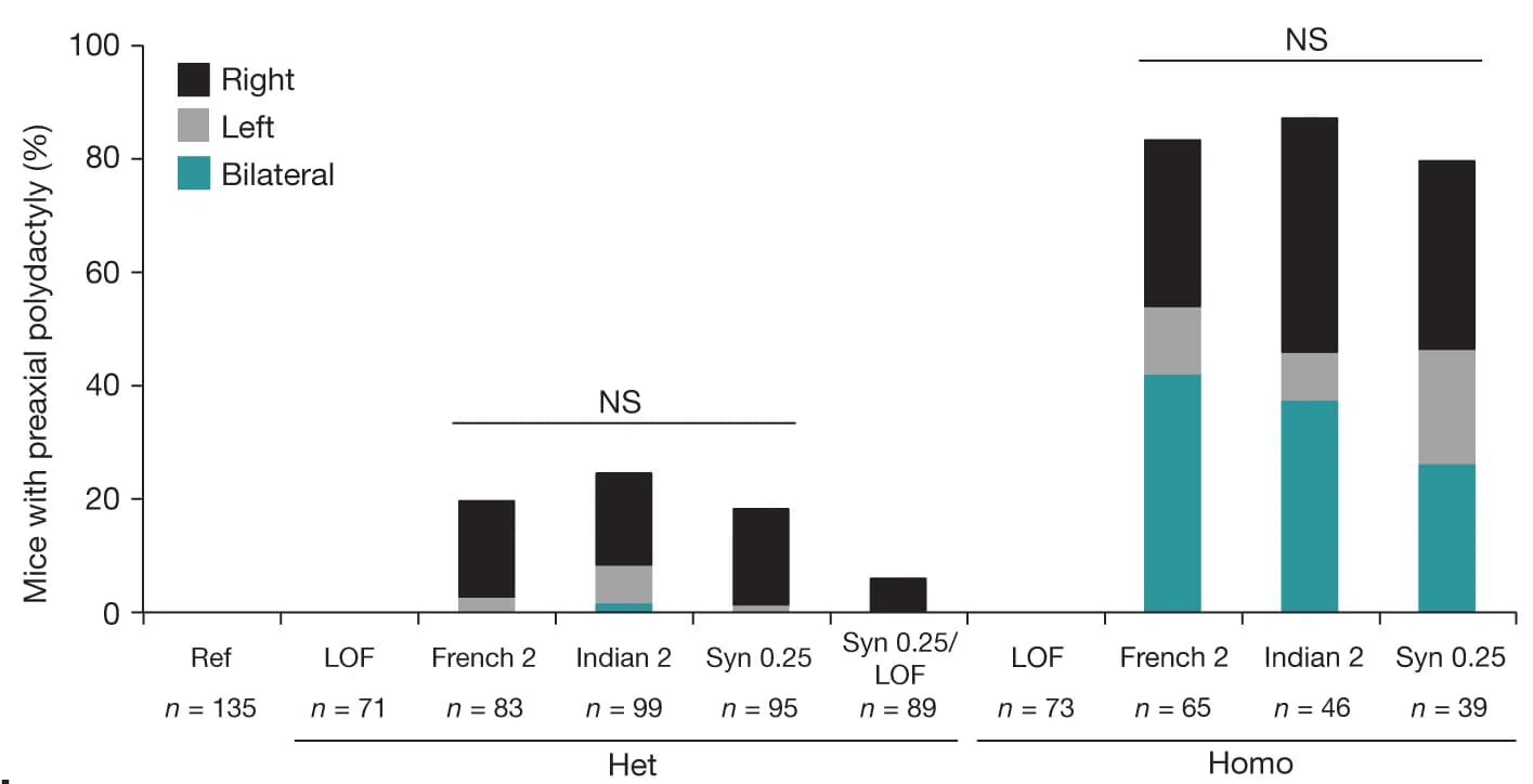 Open access visualization of Stacked Bar Plot, Penetrance, Laterality, Phenotypes, Mice