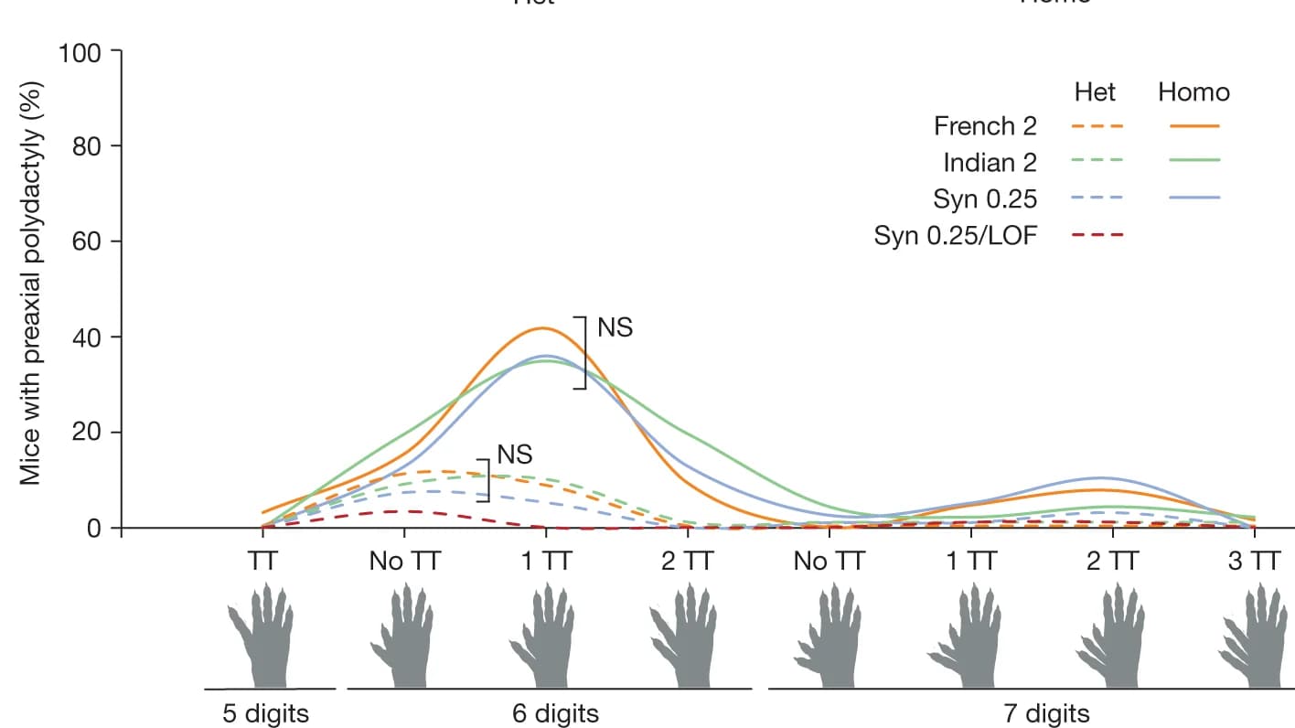 Open access visualization of Line Plot, Polydactyly, Phenotypes, Mice, Triphalangeal Toe