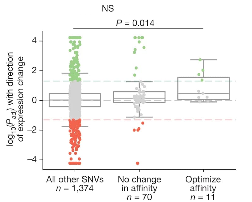 Open access visualization of Box Plot, Scatter Plot, SNVs, MPRA Mutagenesis Experiments, Expression