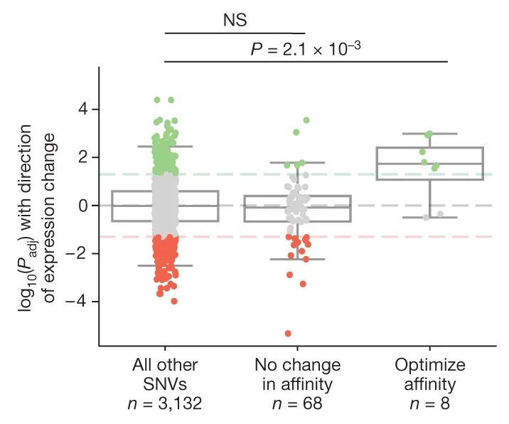 Open access visualization of Box Plot, Scatter Plot, MPRA, SNVs, Lymphoblastoid Regulatory Elements